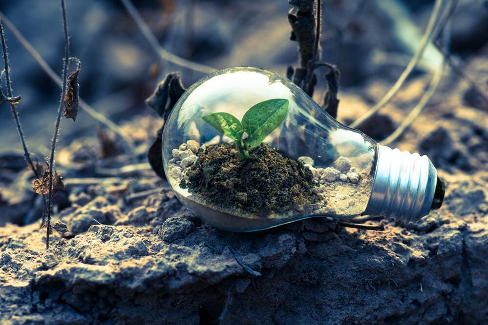 Climate Risk Stress Testing: ECB Framework